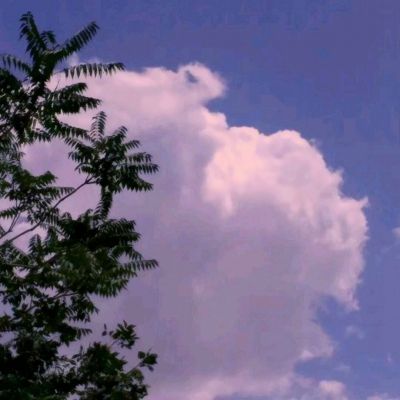 西游降魔曲满v公益服下载
